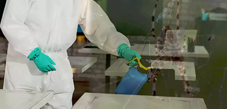 Why Buyers Still Want Homes With Pest Infestations in Eugene, OR?