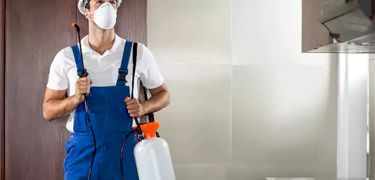 Why Eugene Homeowners Choose Us When Pests Make Selling Difficult